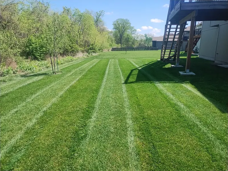 Greener Side Lawn & Landscape logo